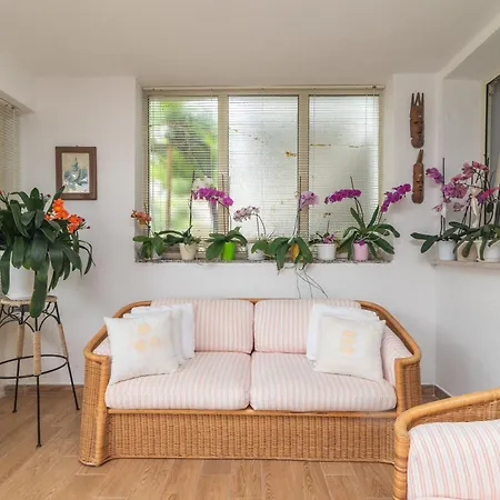 Apartamento Bilo Nina