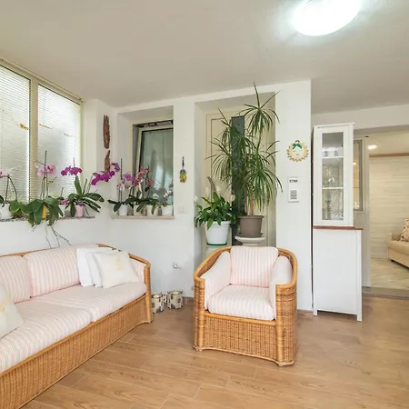 Bilo Nina Santa Teresa Gallura